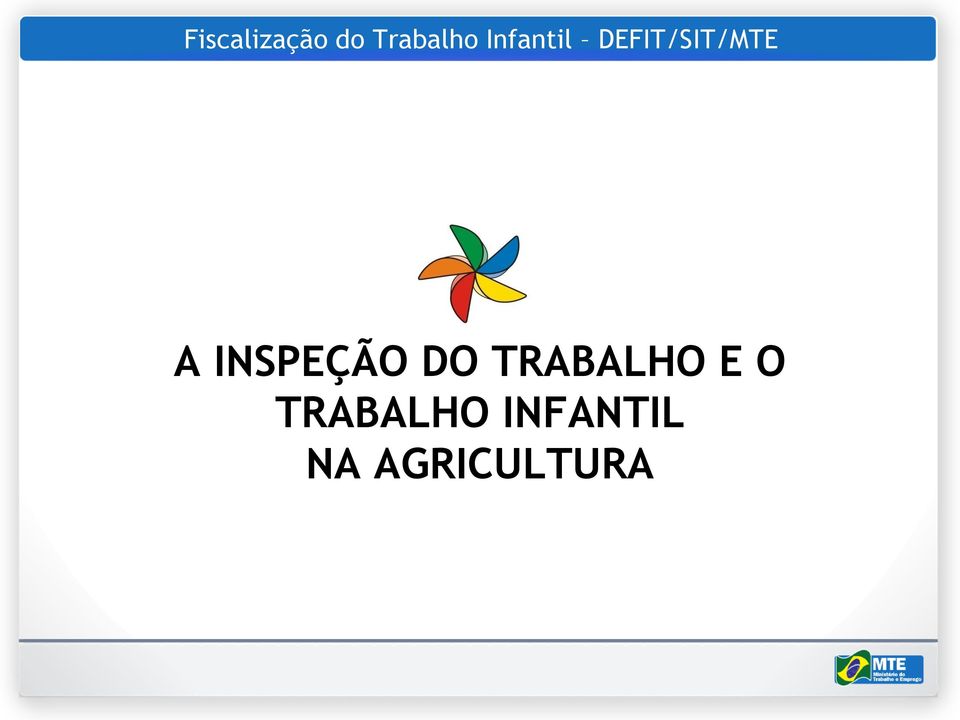 INSPEÇÃO DO TRABALHO E O