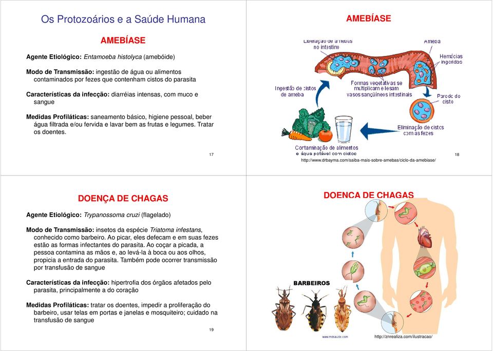 Tratar os doentes. 17 http://www.drbayma.