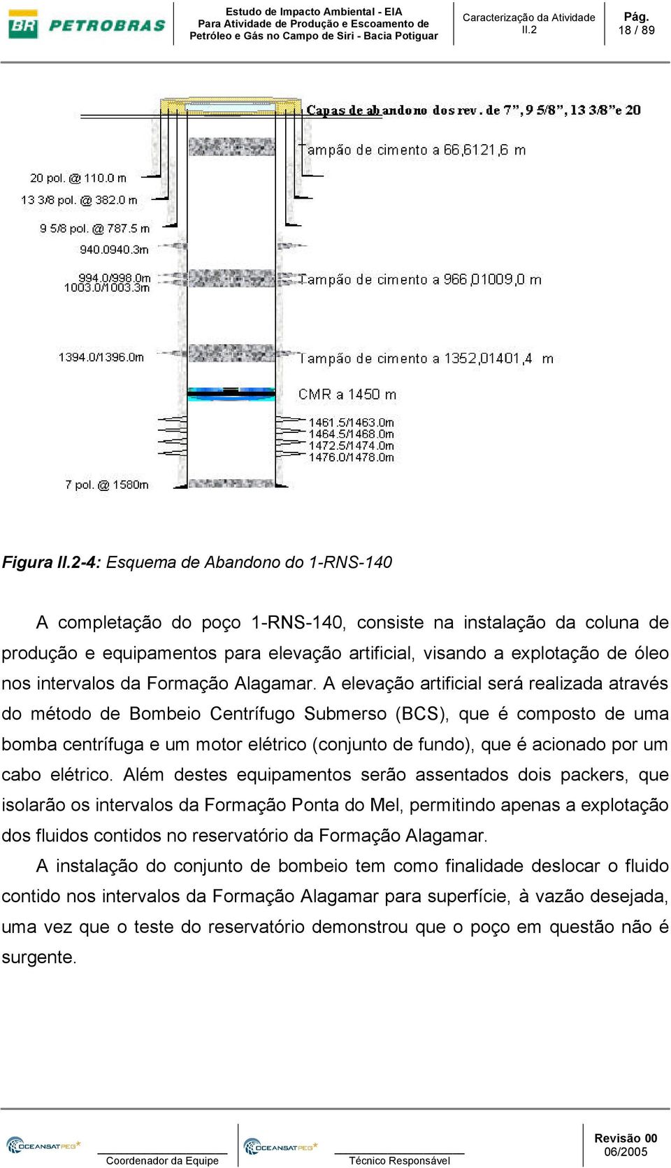 A elevação artificial será realizada através do método de Bombeio Centrífugo Submerso (BCS), que é composto de uma bomba centrífuga e um motor elétrico (conjunto de fundo), que é acionado por um cabo