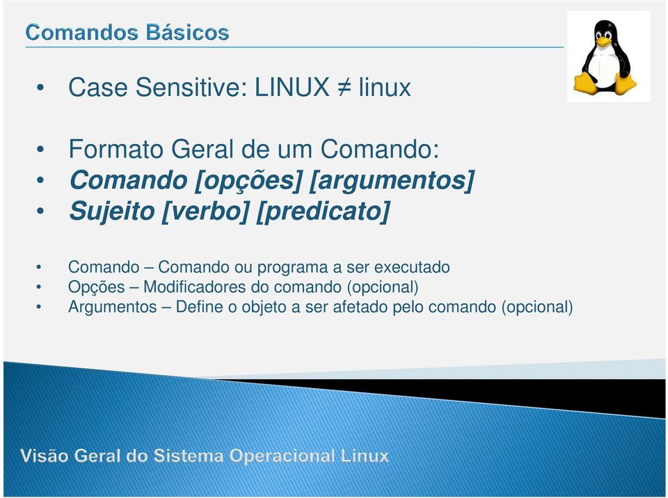 ou programa a ser executado Opções Modificadores do comando