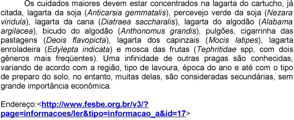 enroladeira (Edylepta indicata) e mosca das frutas (Tephritidae spp, com dois gêneros mais freqüentes).