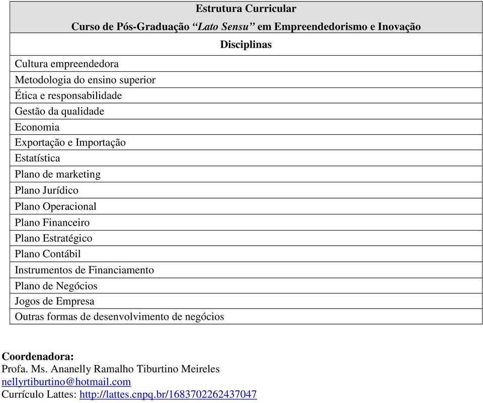 Financeiro Plano Estratégico Plano Contábil Instrumentos de Financiamento Plano de Negócios Jogos de Empresa Outras formas de desenvolvimento de