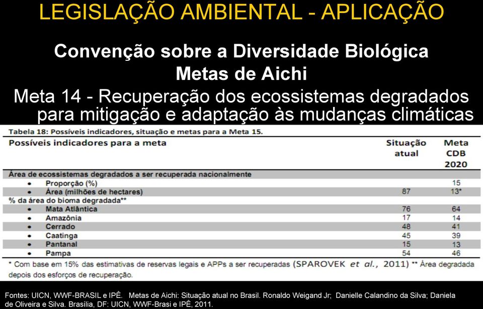 WWF-BRASIL e IPÊ. Metas de Aichi: Situação atual no Brasil.