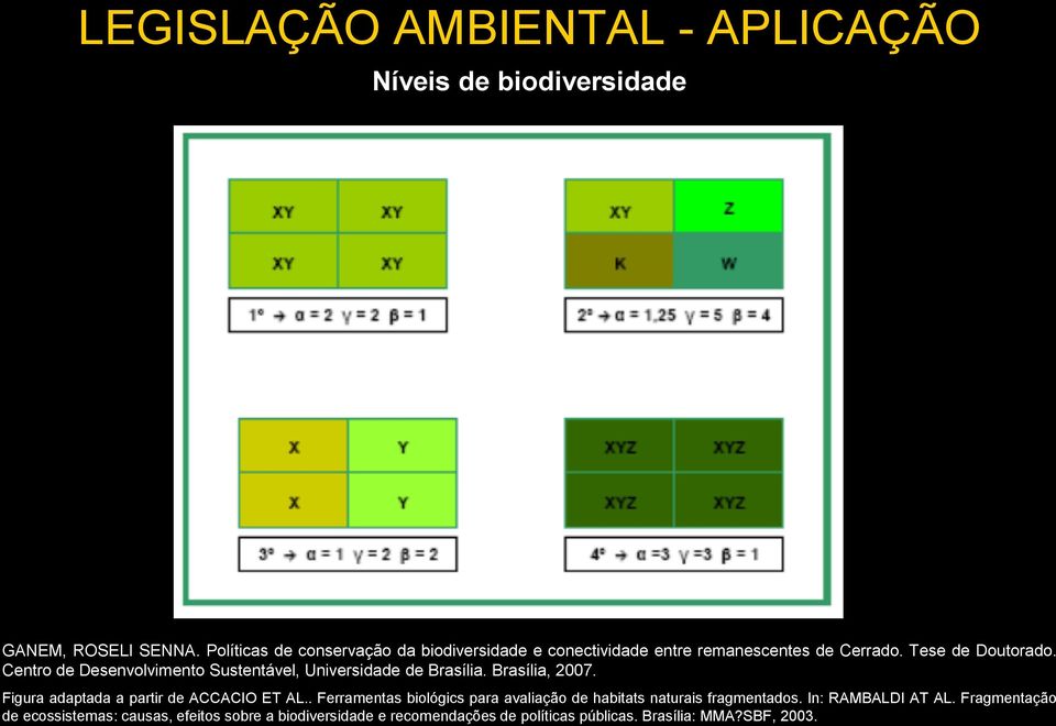 Centro de Desenvolvimento Sustentável, Universidade de Brasília. Brasília, 2007. Figura adaptada a partir de ACCACIO ET AL.