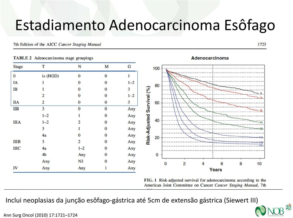 gástrica até 5cm de extensão gástrica