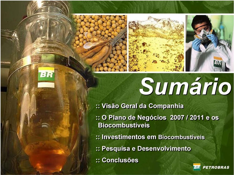 Biocombustíveis :: Investimentos em