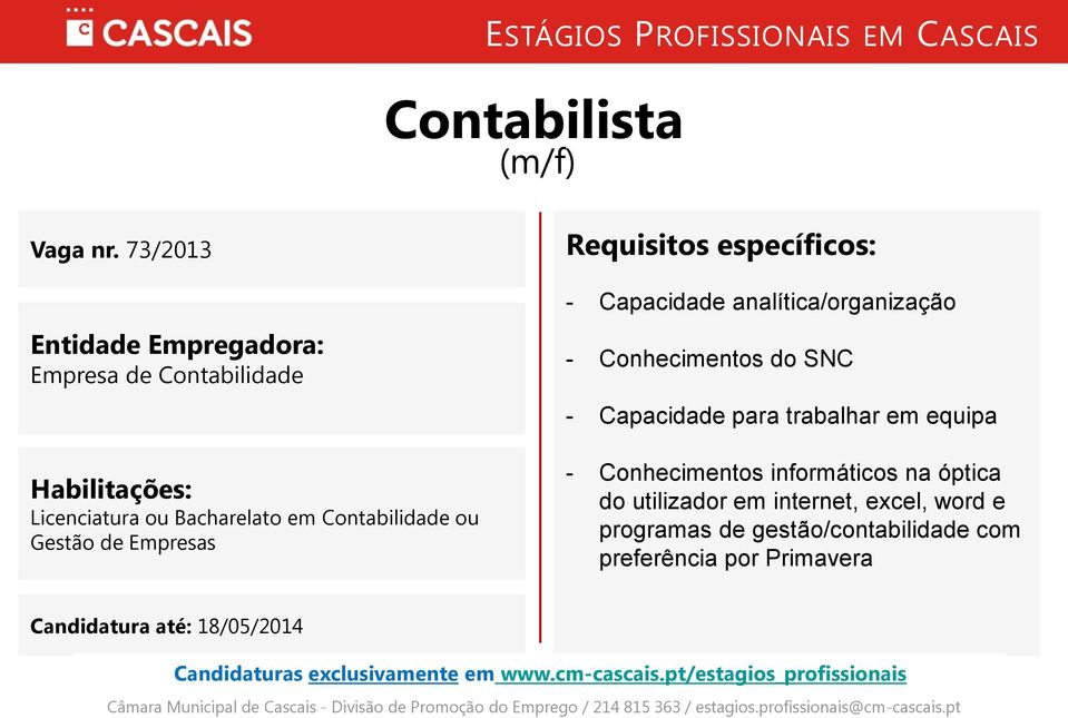Empresas - Capacidade analítica/organização - Conhecimentos do SNC - Capacidade para
