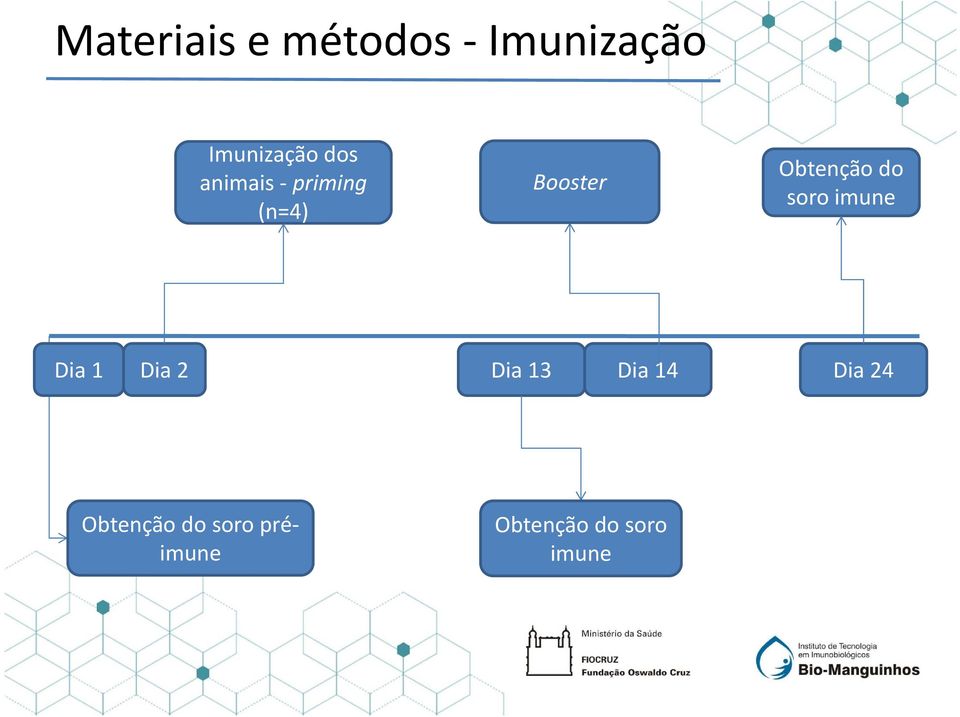 do soro imune Dia 1 Dia 2 Dia 13 Dia 14 Dia