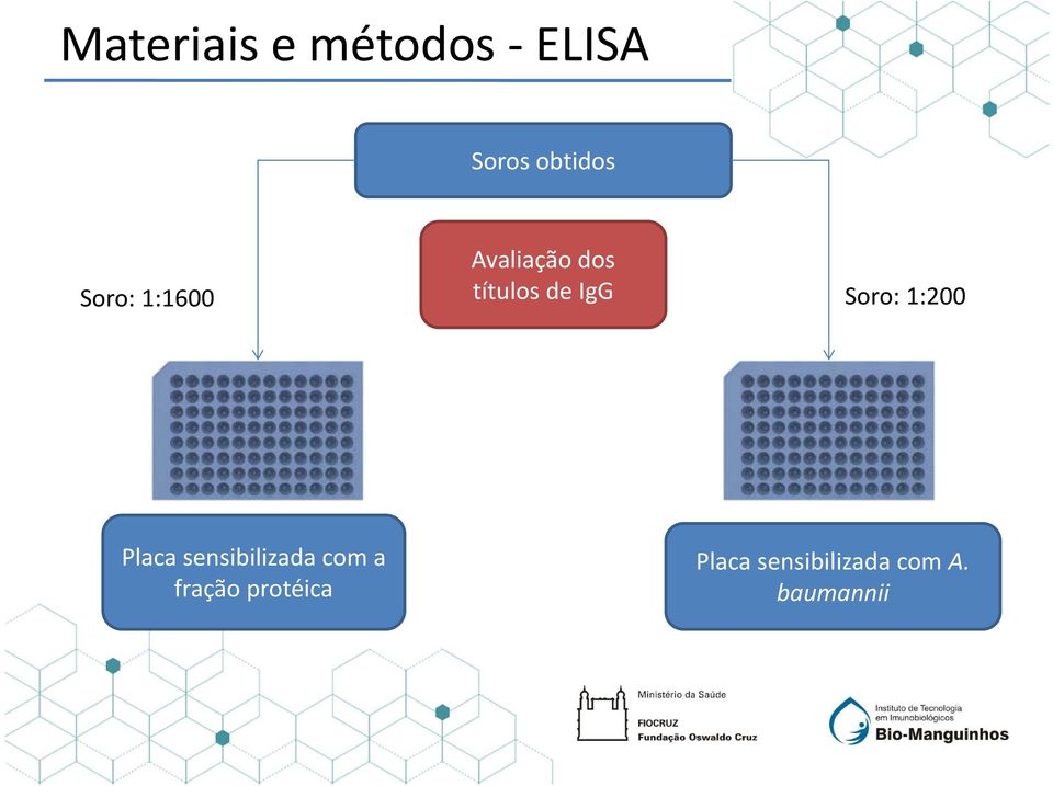 Soro: 1:200 Placa sensibilizada com a