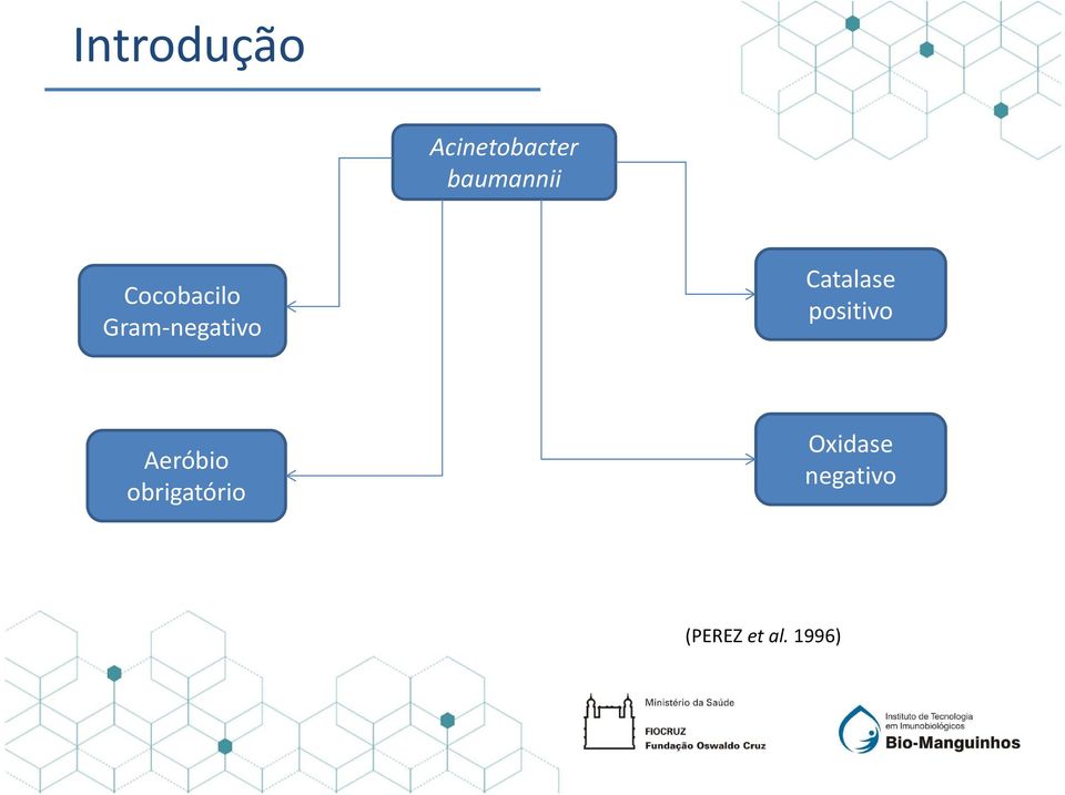 negativo Catalase positivo