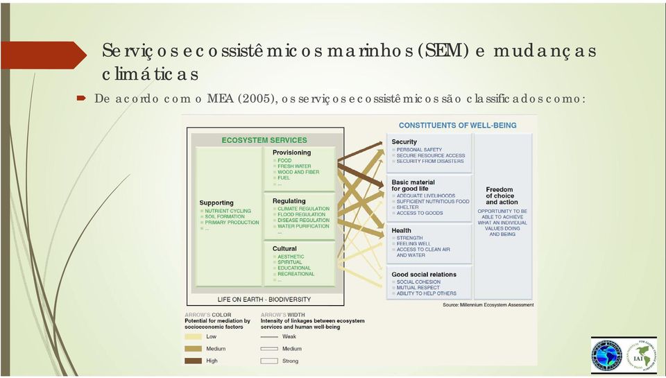 acordo com o MEA (2005), os