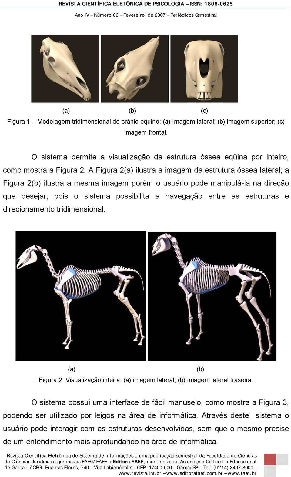 A Figura 2(a) ilustra a imagem da estrutura óssea lateral; a Figura 2(b) ilustra a mesma imagem porém o usuário pode manipulá-la na direção que desejar, pois o sistema possibilita a navegação entre