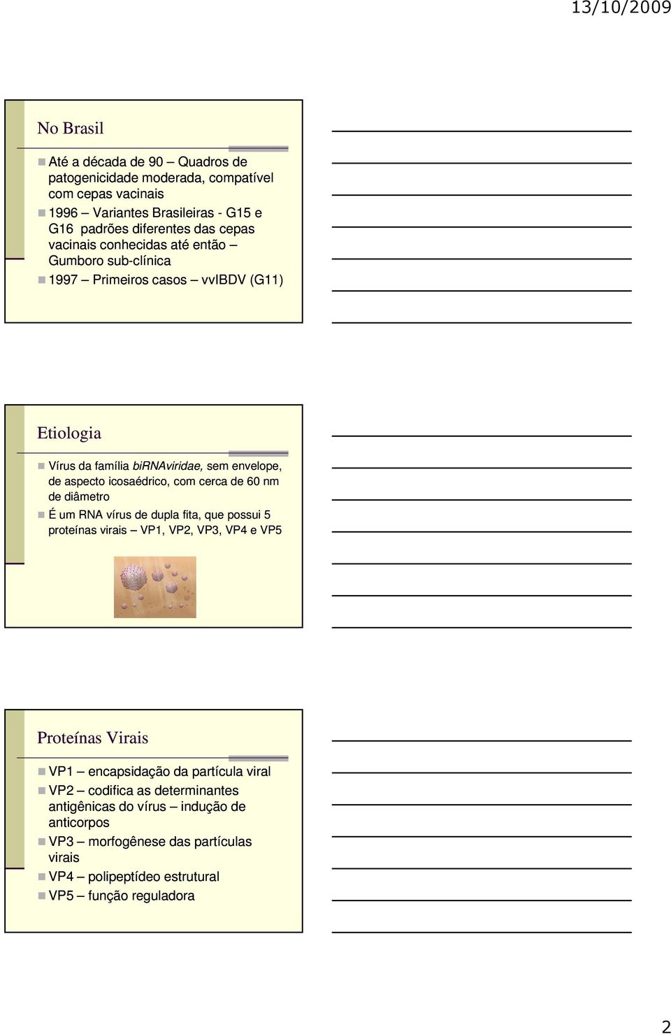 com cerca de 60 nm de diâmetro É um RNA vírus de dupla fita, que possui 5 proteínas virais VP1, VP2, VP3, VP4 e VP5 Proteínas Virais VP1 encapsidação da partícula