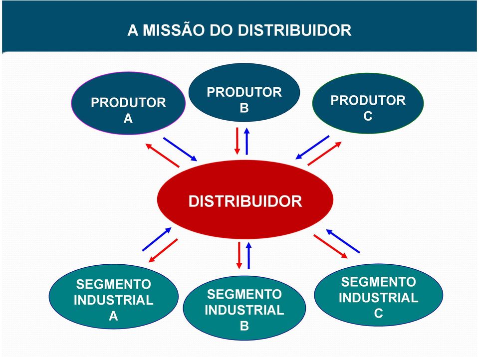 DISTRIBUIDOR SEGMENTO INDUSTRIAL