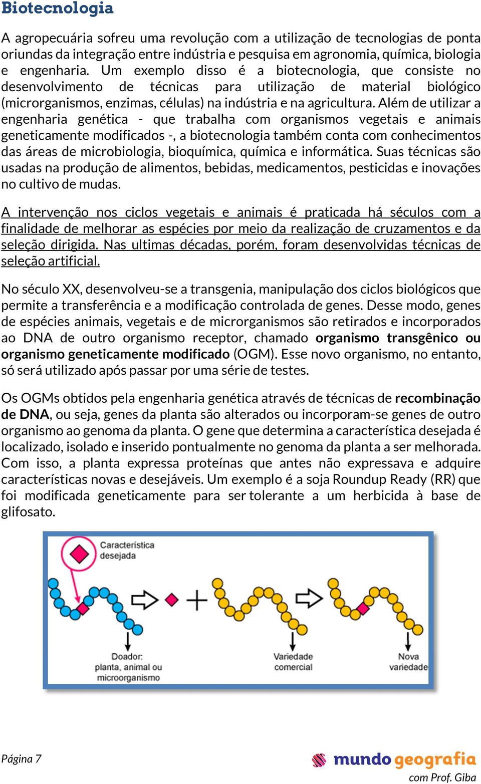 Além de utilizar a engenharia genética - que trabalha com organismos vegetais e animais geneticamente modificados -, a biotecnologia também conta com conhecimentos das áreas de microbiologia,