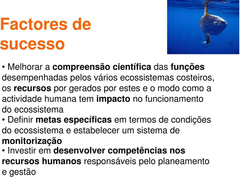 do ecossistema Definir metas específicas em termos de condições do ecossistema e estabelecer um sistema de