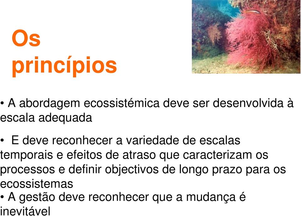 atraso que caracterizam os processos e definir objectivos de longo prazo