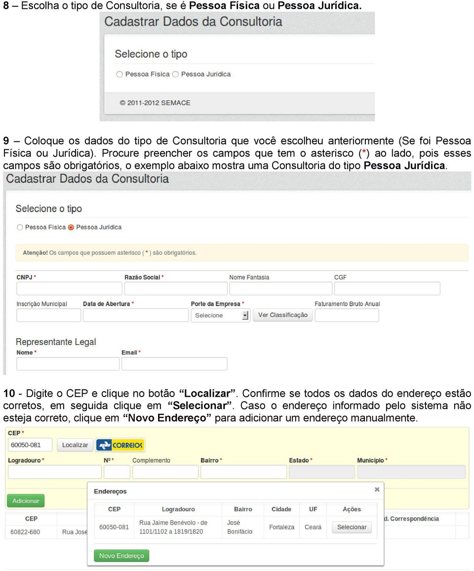 Procure preencher os campos que tem o asterisco (*) ao lado, pois esses campos são obrigatórios, o exemplo abaixo mostra uma Consultoria do tipo