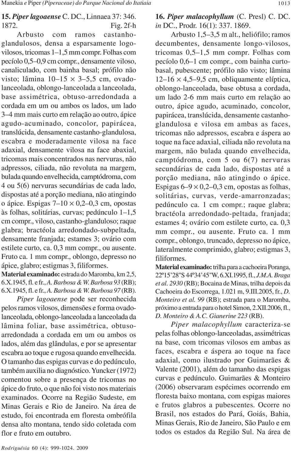 , densamente viloso, canaliculado, com bainha basal; prófilo não visto; lâmina 10 15 3 5,5 cm, ovadolanceolada, oblongo-lanceolada a lanceolada, base assimétrica, obtuso-arredondada a cordada em um