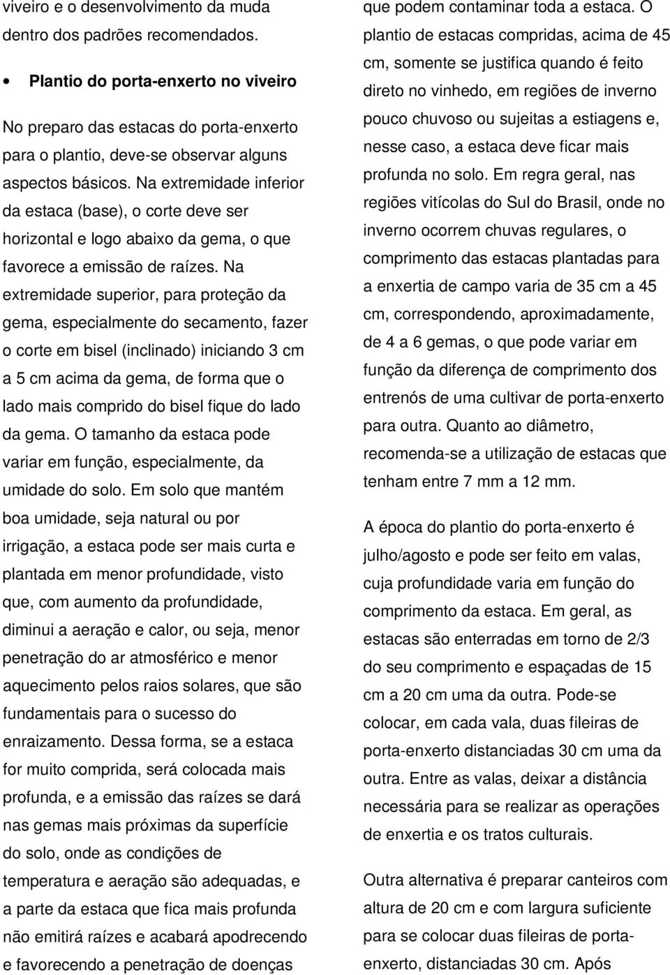 Na extremidade inferior da estaca (base), o corte deve ser horizontal e logo abaixo da gema, o que favorece a emissão de raízes.