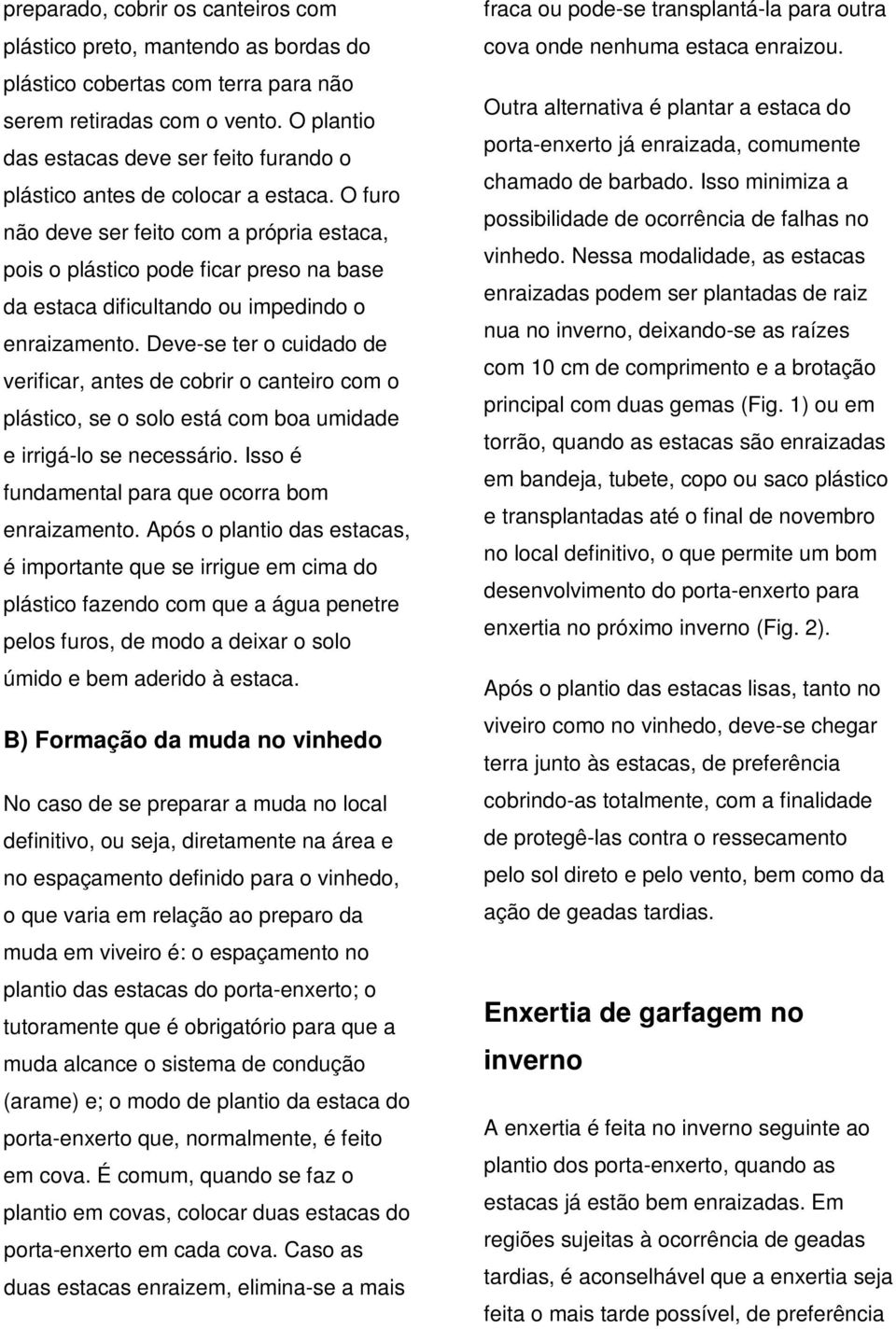 O furo não deve ser feito com a própria estaca, pois o plástico pode ficar preso na base da estaca dificultando ou impedindo o enraizamento.