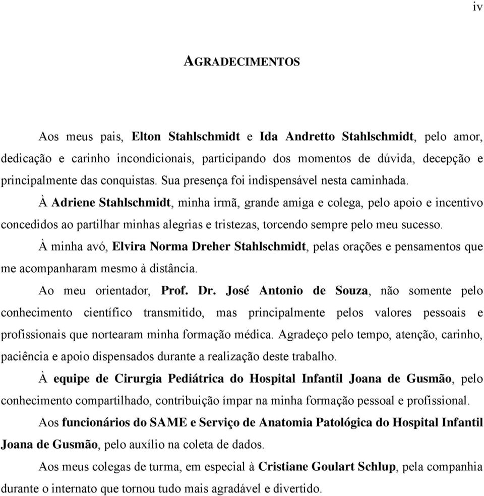 À Adriene Stahlschmidt, minha irmã, grande amiga e colega, pelo apoio e incentivo concedidos ao partilhar minhas alegrias e tristezas, torcendo sempre pelo meu sucesso.