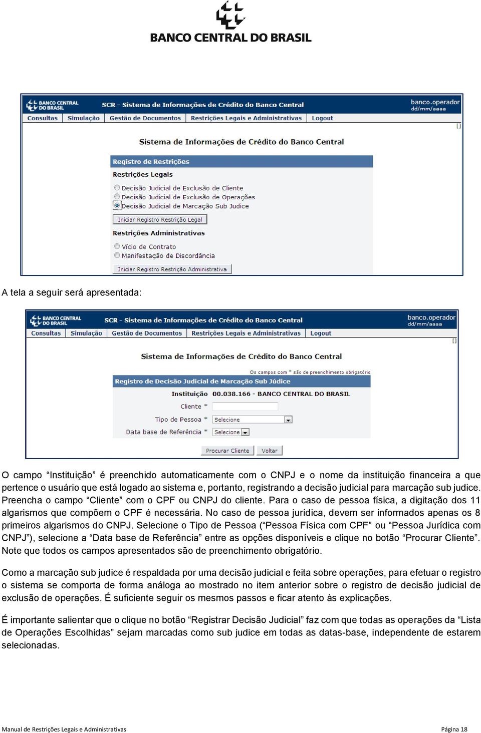 Para o caso de pessoa física, a digitação dos 11 algarismos que compõem o CPF é necessária. No caso de pessoa jurídica, devem ser informados apenas os 8 primeiros algarismos do CNPJ.