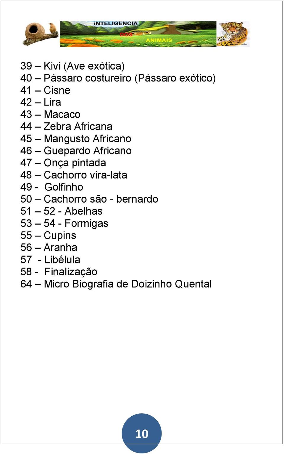 vira-lata 49 - Golfinho 50 Cachorro são - bernardo 51 52 - Abelhas 53 54 - Formigas 55