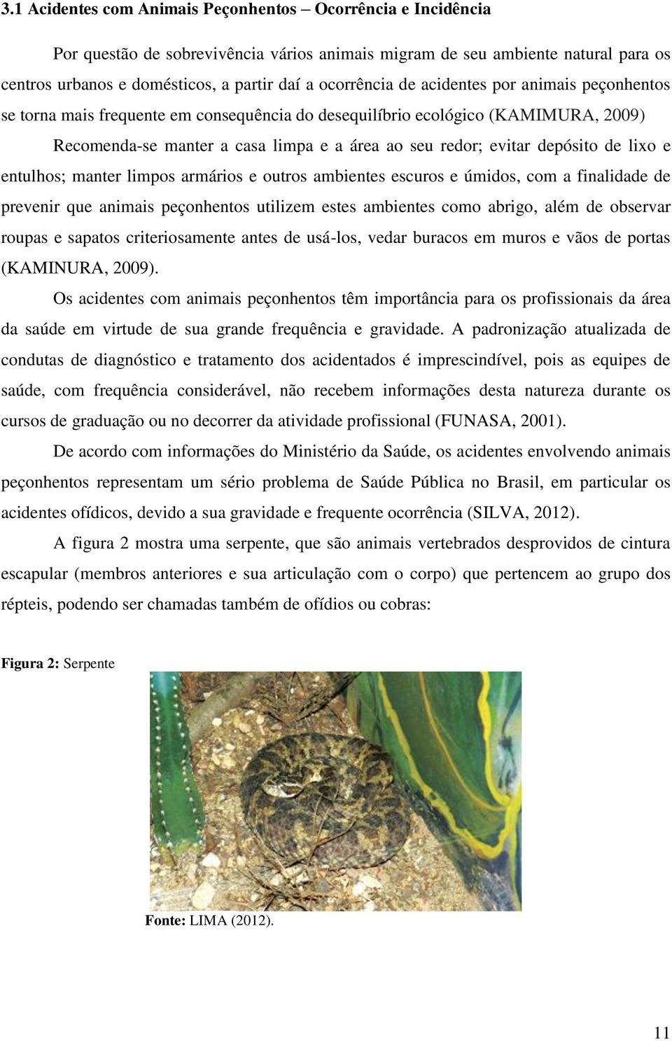 depósito de lixo e entulhos; manter limpos armários e outros ambientes escuros e úmidos, com a finalidade de prevenir que animais peçonhentos utilizem estes ambientes como abrigo, além de observar