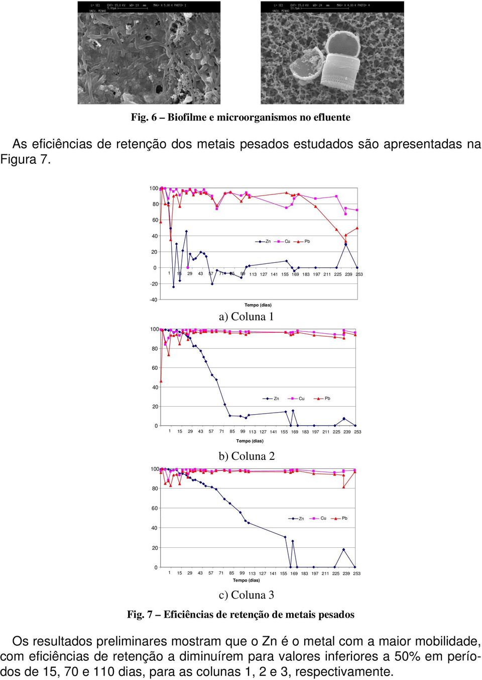 155 169 183 197 211 225 239 253 Tempo (dias) b) Coluna 2 80 60 40 Zn Cu Pb 20 0 1 15 29 43 57 71 85 99 113 127 141 155 169 183 197 211 225 239 253 Tempo (dias) c) Coluna 3 Fig.