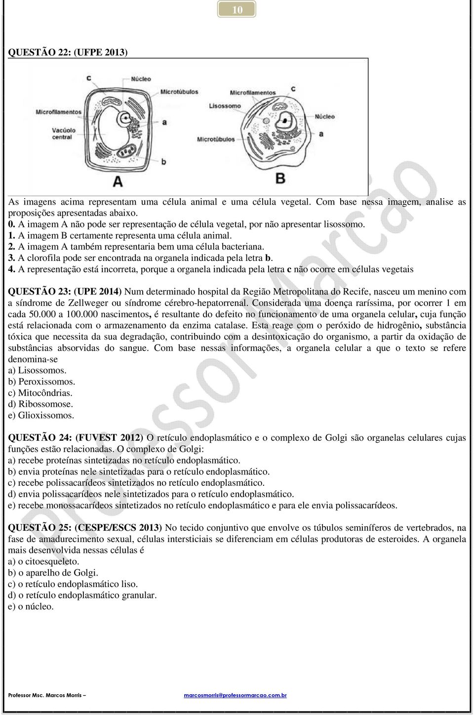 A imagem A também representaria bem uma célula bacteriana. 3. A clorofila pode ser encontrada na organela indicada pela letra b. 4.