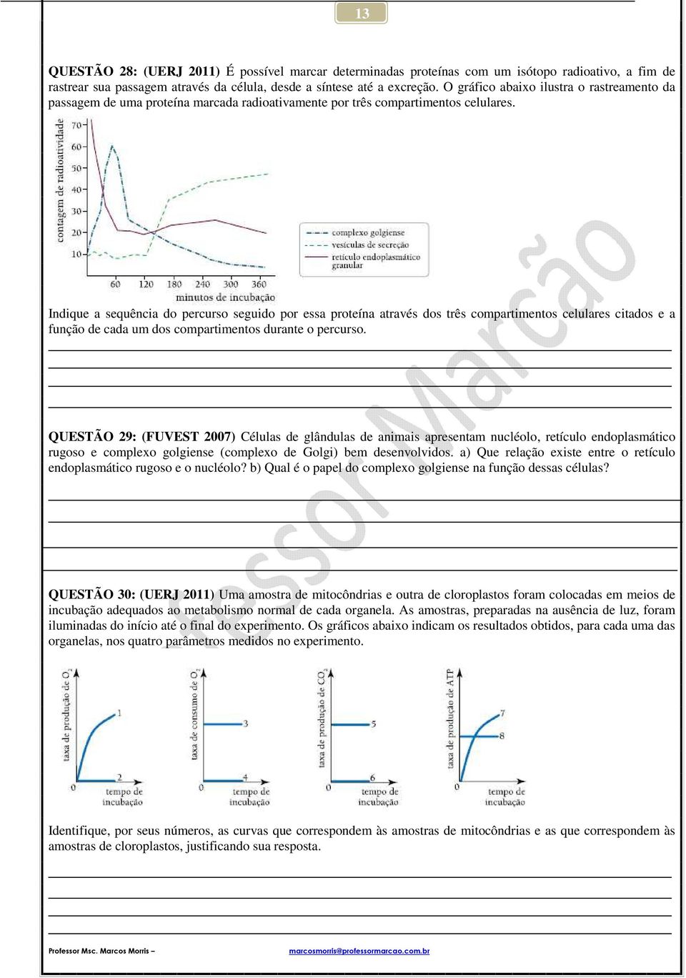 Indique a sequência do percurso seguido por essa proteína através dos três compartimentos celulares citados e a função de cada um dos compartimentos durante o percurso.