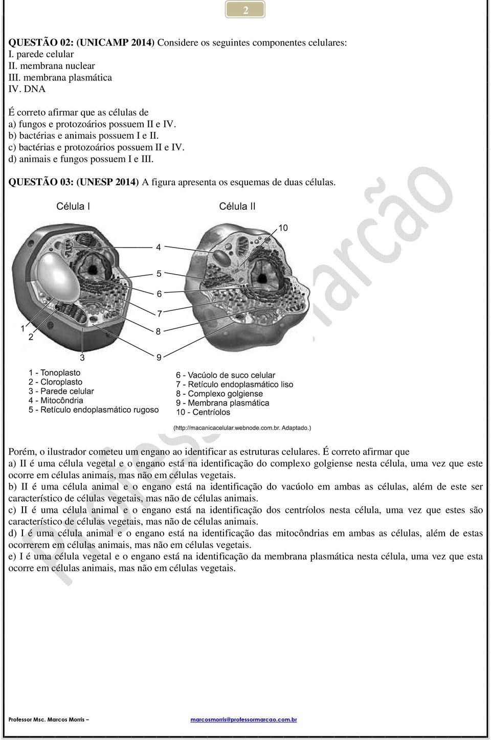 d) animais e fungos possuem I e III. QUESTÃO 03: (UNESP 2014) A figura apresenta os esquemas de duas células. Porém, o ilustrador cometeu um engano ao identificar as estruturas celulares.