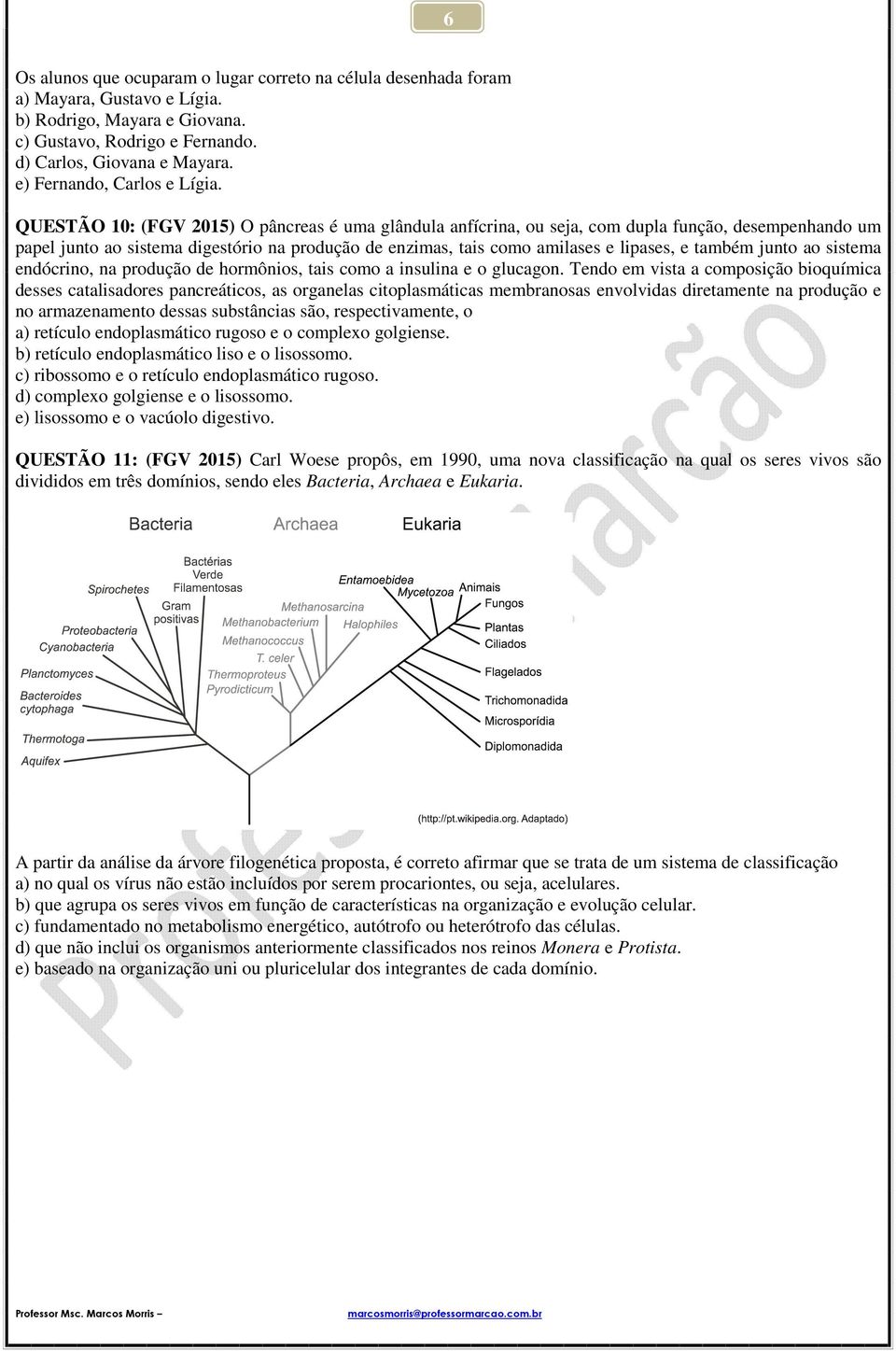 QUESTÃO 10: (FGV 2015) O pâncreas é uma glândula anfícrina, ou seja, com dupla função, desempenhando um papel junto ao sistema digestório na produção de enzimas, tais como amilases e lipases, e