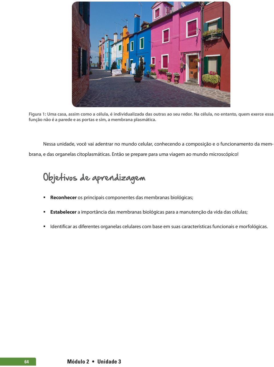 Nessa unidade, você vai adentrar no mundo celular, conhecendo a composição e o funcionamento da membrana, e das organelas citoplasmáticas.