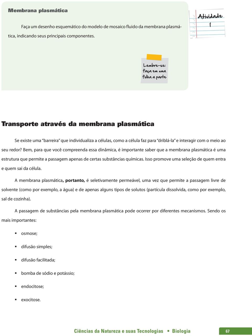 Bem, para que você compreenda essa dinâmica, é importante saber que a membrana plasmática é uma estrutura que permite a passagem apenas de certas substâncias químicas.