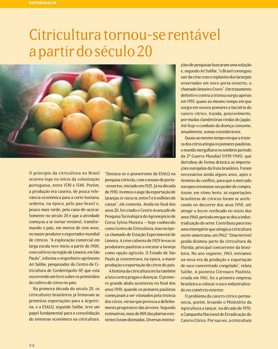 Somente no século 20 é que a atividade começou a se tornar rentável, transformando o país, em menos de cem anos, no maior produtor e exportador mundial de cítricos.