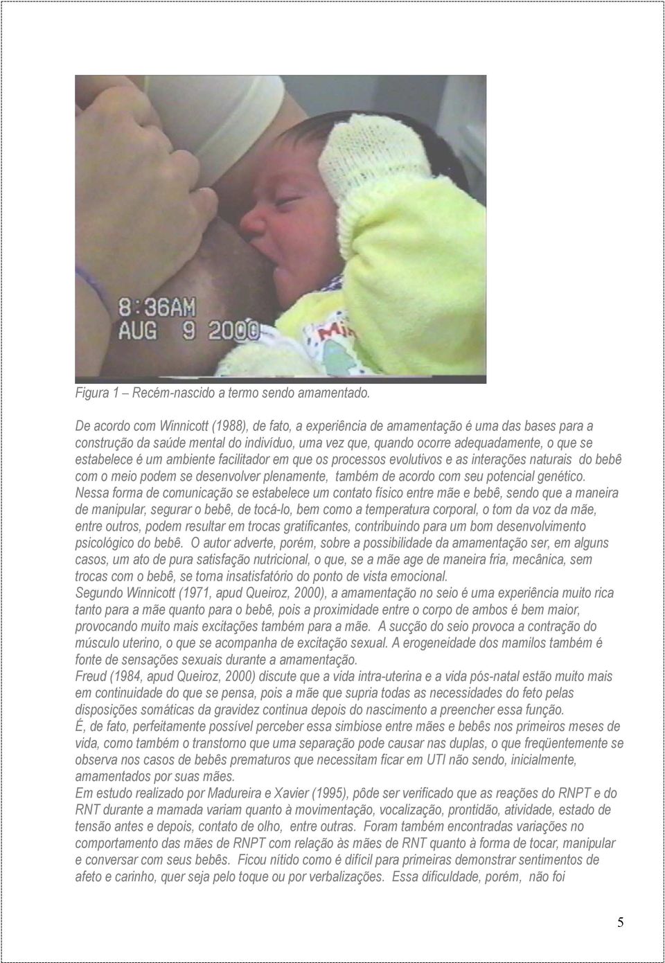 um ambiente facilitador em que os processos evolutivos e as interações naturais do bebê com o meio podem se desenvolver plenamente, também de acordo com seu potencial genético.