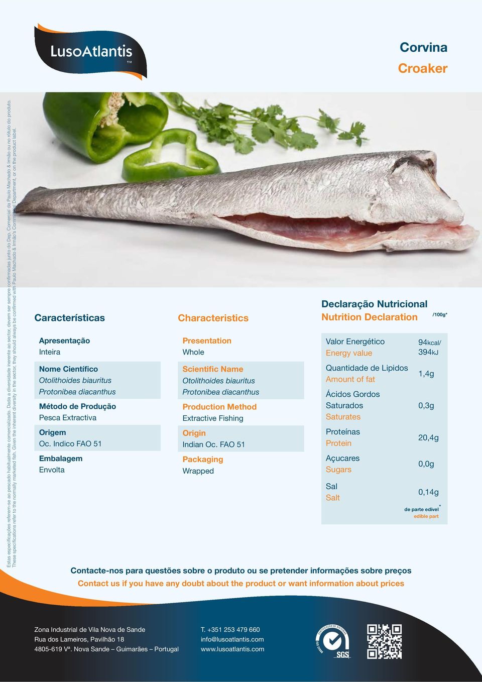 Indico FAO 51 Envolta Whole Otolithoides biauritus