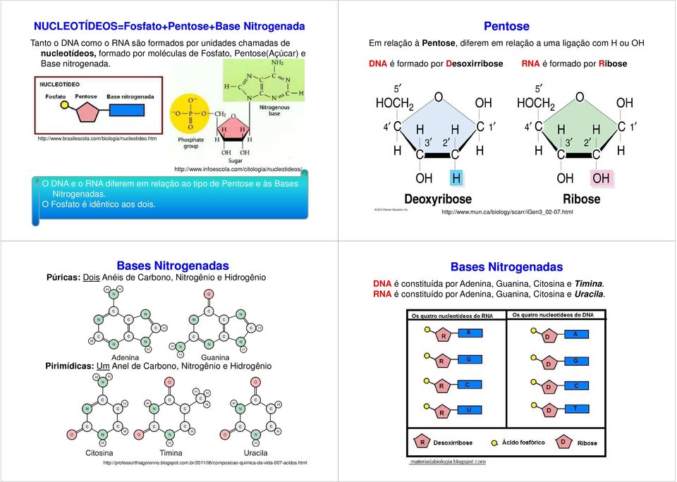 infoescola.com/citologia/nucleotideos/ O DNA e o RNA diferem em relação ao tipo de Pentose e às Bases Nitrogenadas. O Fosfato é idêntico aos dois. http://www.mun.ca/biology/scarr/igen3_02-07.