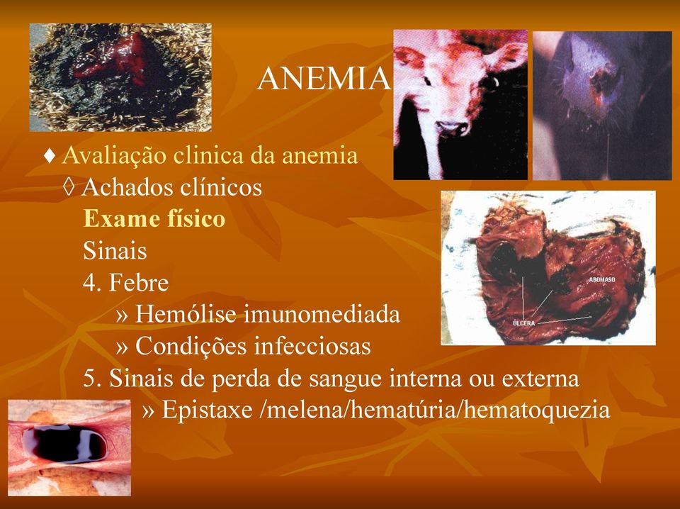 infecciosas 5.