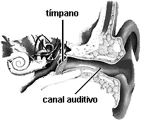 Considere que, no caso de ressonância, ocorra um nó sobre o tímpano e ocorra um ventre da onda na saída do canal auditivo, de comprimento L igual a 3,4 cm.