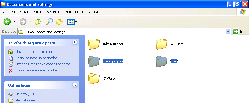 Selecionando os Perfis dos Usuário no Windows XP Clique duas vezes no ícone Meu Computador/Unidade C:/. Abra a pasta Documents and Settings.