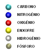 DNA As figuras ao lado mostram dois pares de bases, C-G e A-T, respectivamente. Nelas vemos claramente as ligações de hidrogênio que estabilizam os pares de bases.