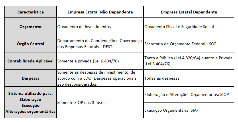 Esquematicamente, abaixo são demonstradas algumas características das empresas dependentes e não dependentes: Quadro 1: Empresas Dependentes e Não Dependentes: Diferenças 2.7 LEI N 10.