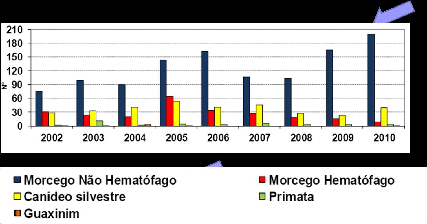 Reservatórios: morcegos hematófagos 19.