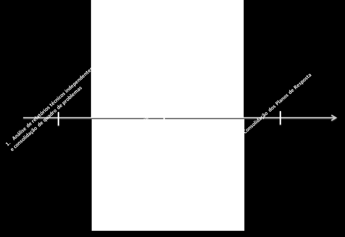 Figura 3 - Dinâmica de trabalho da Força-Tarefa Fonte: SEDRU/MG 1.
