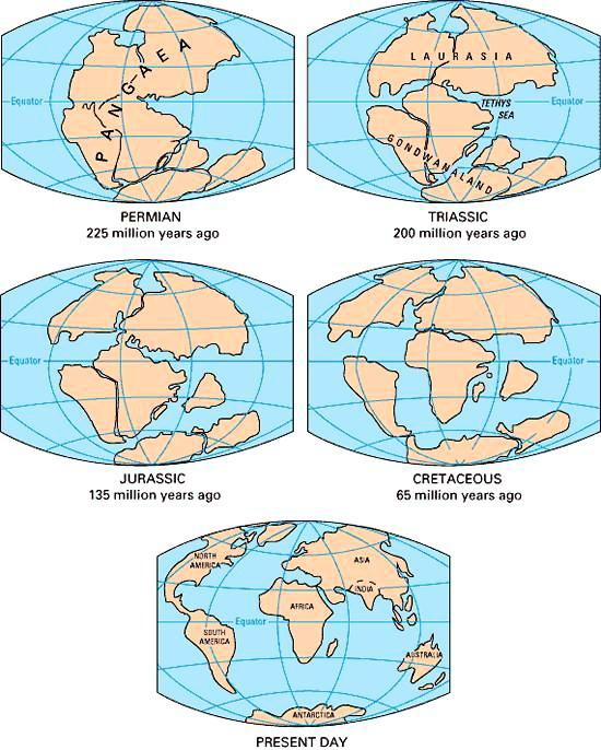 Terra Placas tectônicas: Crosta dividida em placas que boiam