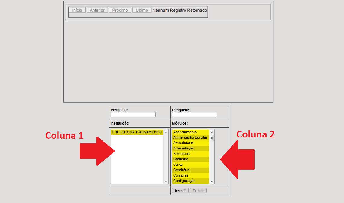 Após clicar em Selecionar, o sistema exibirá a seguinte tela: A COLUNA 1, apresenta