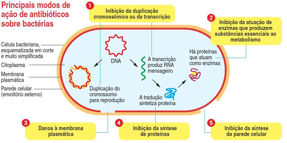 AÇÃO DAS DROGAS